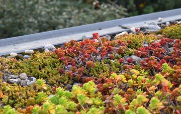 the cost of Ballinamallard green roof installation