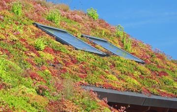 Ballinamallard living roof systems